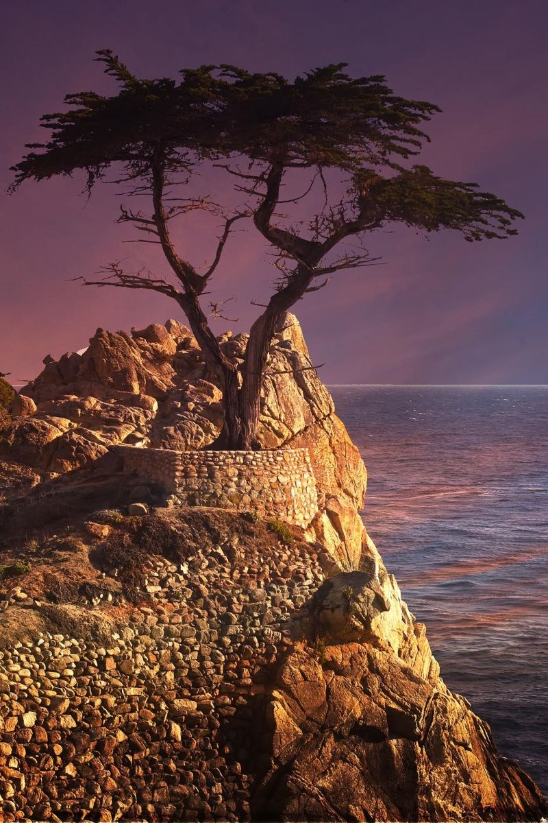 Lone-Cypress-Monterey-County_1